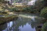 Photo ID: 051551, The Strolling Pond (203Kb)