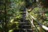 Photo ID: 051575, Climbing up from the Natural Garden (241Kb)