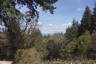 Photo ID: 051576, View from the Hoyt Arboretum (216Kb)