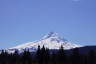 Photo ID: 051740, Mount Hood from Grateful Vineyard (88Kb)