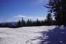 Photo ID: 051758, Snow and pines (144Kb)