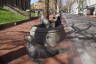 Photo ID: 051778, Seals in a fountain (181Kb)