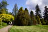 Photo ID: 052013, Entering the Pinetum (205Kb)