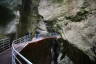 Photo ID: 052505, On the gorge bridge (171Kb)