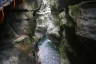 Photo ID: 052512, Approaching the end of the gorge (159Kb)