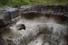 Photo ID: 052520, Carvings from earlier high waters (200Kb)