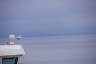 Photo ID: 052757, Chasing the DFDS ferry into Oslo (68Kb)