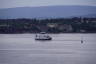 Photo ID: 052823, City ferry (116Kb)