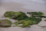 Photo ID: 053564, Low tide (128Kb)