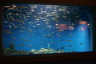 Photo ID: 053714, One of the main tanks (130Kb)