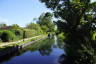 Photo ID: 053752, Looking up the Basingstoke Canal (200Kb)