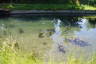 Photo ID: 053758, Not a very deep canal (190Kb)
