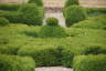 Photo ID: 053880, Topiary (216Kb)