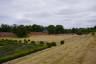 Photo ID: 053883, View across the walled garden (145Kb)