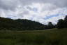 Photo ID: 053934, Looking up to Box Hill (123Kb)