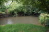 Photo ID: 053938, River Mole (226Kb)