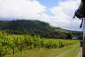 Photo ID: 053992, The Winery (173Kb)