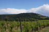 Photo ID: 054000, The peak of Box Hill (160Kb)