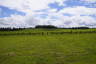 Photo ID: 054003, The Greenfield zone (173Kb)