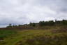 Photo ID: 054121, Millstone Edge (67Kb)