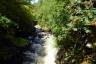 Photo ID: 054724, Falls below the Miners Bridge (235Kb)
