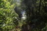 Photo ID: 054732, View through the trees to the falls (237Kb)