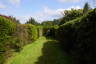 Photo ID: 054843, First garden inside the maze (177Kb)