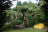 Photo ID: 054851, Japanese Garden (207Kb)