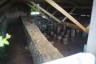 Photo ID: 054928, Looking inside the Hypocaust room (130Kb)