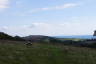 Photo ID: 054940, View towards Culver Down (107Kb)