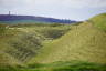 Photo ID: 055157, Sheep in the earthworks (161Kb)