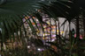 Photo ID: 055929, Rainforest and Water slides (140Kb)