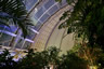 Photo ID: 055930, Rainforest under the Tropical Islands Dome (181Kb)