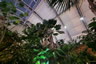 Photo ID: 055933, Beneath the palms (119Kb)