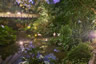 Photo ID: 055934, Flamingos inside an artificial rainforest in a zeppelin hanger (172Kb)