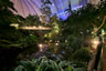 Photo ID: 055935, The rainforest of Tropical Islands (155Kb)