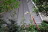 Photo ID: 055947, Palms beneath the dome (185Kb)