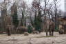 Photo ID: 055966, Elephants (166Kb)