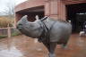 Photo ID: 055972, Statue of a Rhino at the Rhino-Pagoda (103Kb)