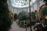 Photo ID: 056027, Inside the giraffe house (128Kb)