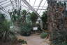 Photo ID: 056118, Inside one of the greenhouses (198Kb)