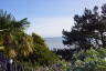 Photo ID: 056161, Top of ZigZag path (190Kb)