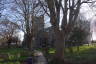 Photo ID: 056174, St Mary & St Eanswythe (222Kb)