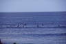 Photo ID: 056515, Surfers out in force (141Kb)
