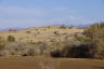 Photo ID: 056545, Grasses reclaiming the dunes (137Kb)