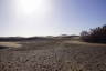 Photo ID: 056553, Desert like landscape (139Kb)
