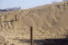 Photo ID: 056554, Dune consuming the path (128Kb)