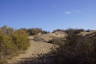 Photo ID: 056557, Climbing up a dune (on path) (138Kb)