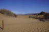 Photo ID: 056560, Route through the dunes (113Kb)