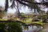 Photo ID: 056693, View across the Japanese Garden (243Kb)